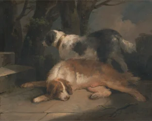 Perros de caza